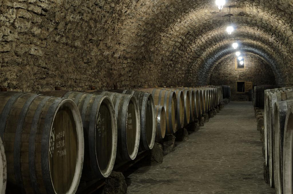 Hotel PRINCE TRUBETSKOI winery Nowa Kachowka Zewnętrze zdjęcie